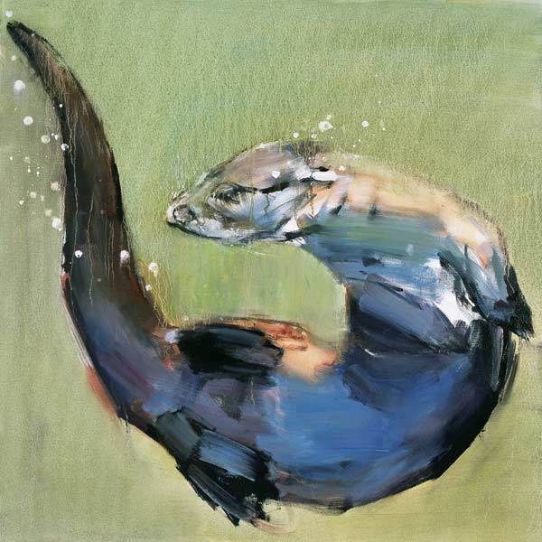 Otter von Mark  Adlington