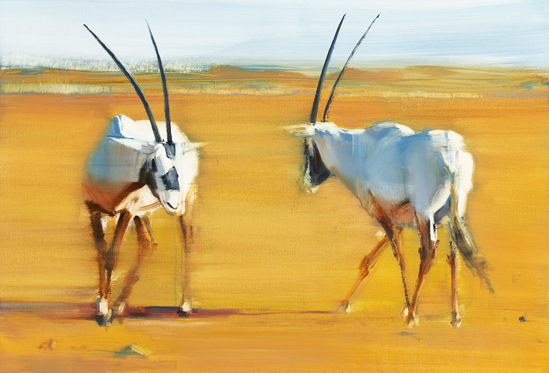 Circling Arabian Oryx von Mark  Adlington