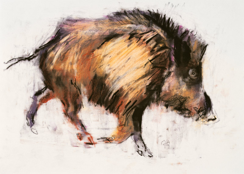 Wild Boar Trotting von Mark  Adlington