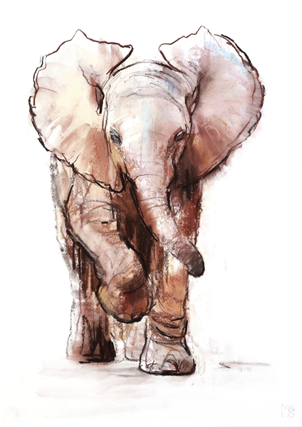 Baby Elephant, Loisaba von Mark  Adlington