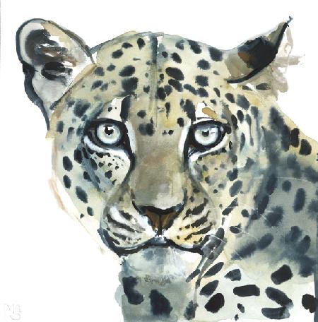 Leopard 2015