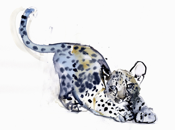 Stretching Cub (Arabian Leopard) von Mark  Adlington