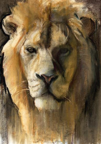 Asiatic Lion 2015