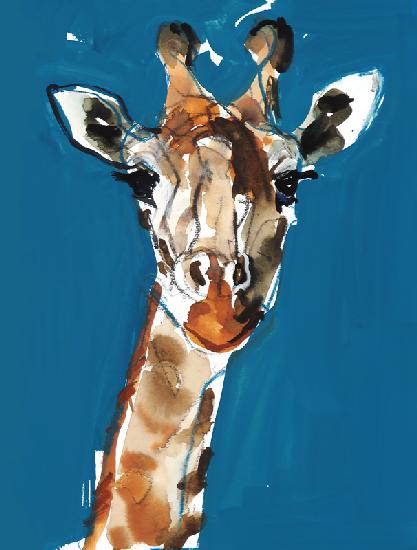 Masai Giraffe 2018