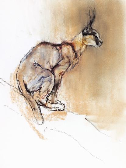 Seated Caracal 2009