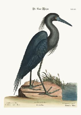 The blue Heron 1749-73
