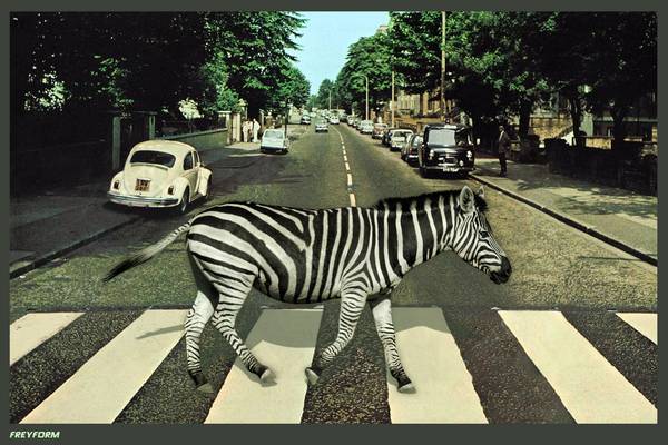 Zebra Crossing von Markus Bergmann