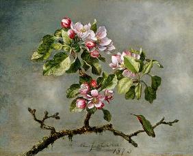 Apple Blossoms and a Hummingbird 1875