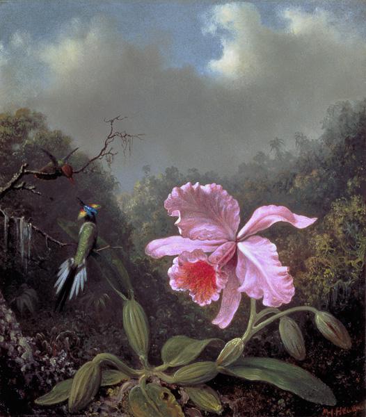Still Life with an Orchid and a Pair of Hummingbirds c.1890s