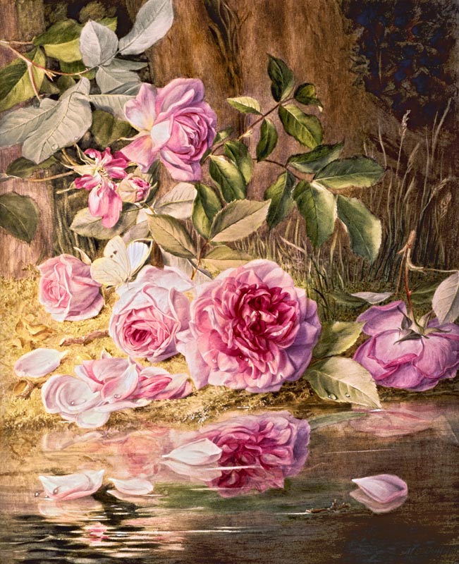 Blairie Roses von Mary Elizabeth Duffield