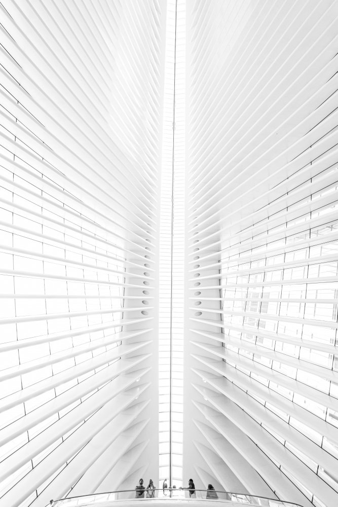 Calatrava-Vision von Massimo Alloi