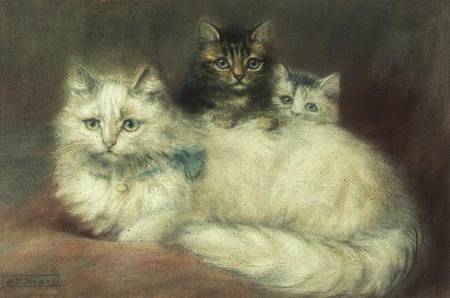 A Persian Cat and her kittens von Maud D. Heaps