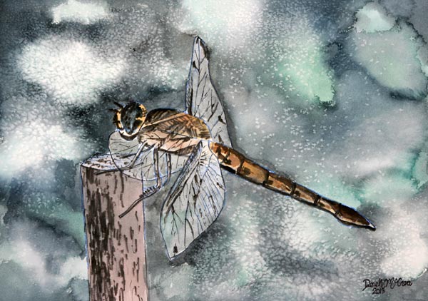 Dragonfly 2 von Derek McCrea
