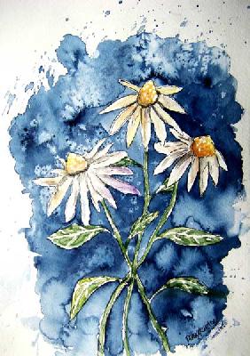 3 Daisies 2008