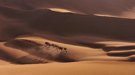 Schatten in der Wüste