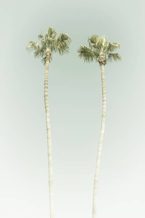 Minimalistische Idylle mit Palmen am Strand | Vintage  von Melanie Viola