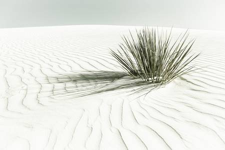 Dünen, White Sands National Monument | Vintage 2020
