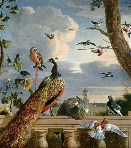 Palace of Amsterdam with Exotic Birds von Melchior de Hondecoeter