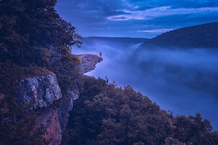 Whitaker Point