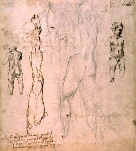 Anatomical drawings with accompanying notes (red chalk) von Michelangelo (Buonarroti)