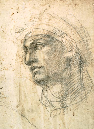 Study of a Head  Inv.1895/9/15/498 (W.1) von Michelangelo (Buonarroti)