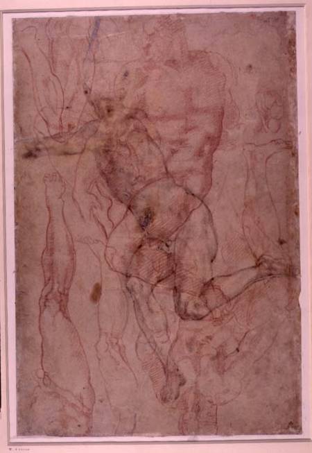 Figure Study, red chalk von Michelangelo (Buonarroti)