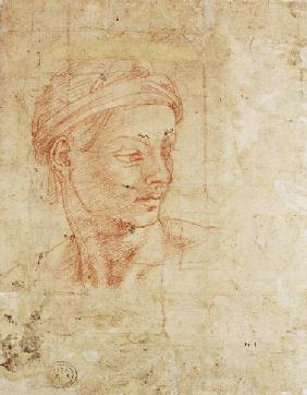 Study of a Head (red chalk) Inv.1926/10/9/1 (W.11)