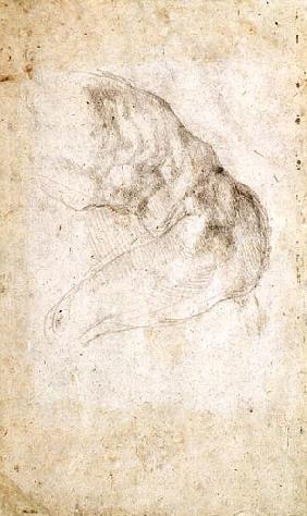 Study for The Creation of Adam(verso) (for recto see 191766)