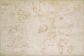 Study of heads and animals, c.1525 (red chalk & pen on paper) 1517