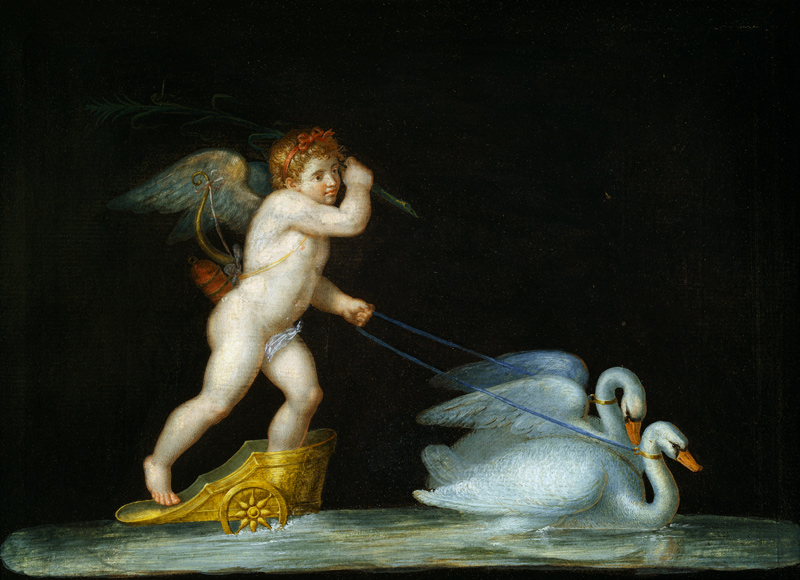 Cupid being led by a pair of swans von Michelangelo Maestri