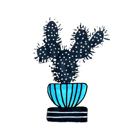 Kaktus 1 Wüstenpflanze Blau Schwarz