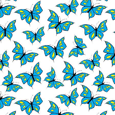 Schmetterlinge Blau