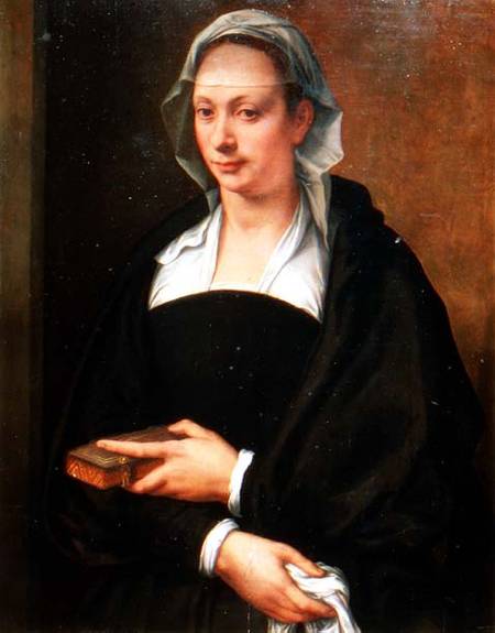Portrait of a Lady in a White Veil von Michele Tosini