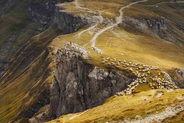 Alpine Pastures von Mihai Ian nedelcu