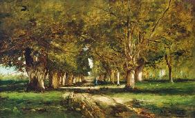 Allee in Colpach. 1886