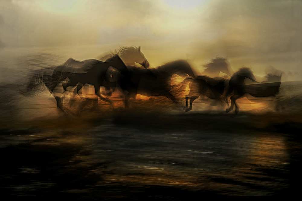 In the morning gallop von Milan Malovrh