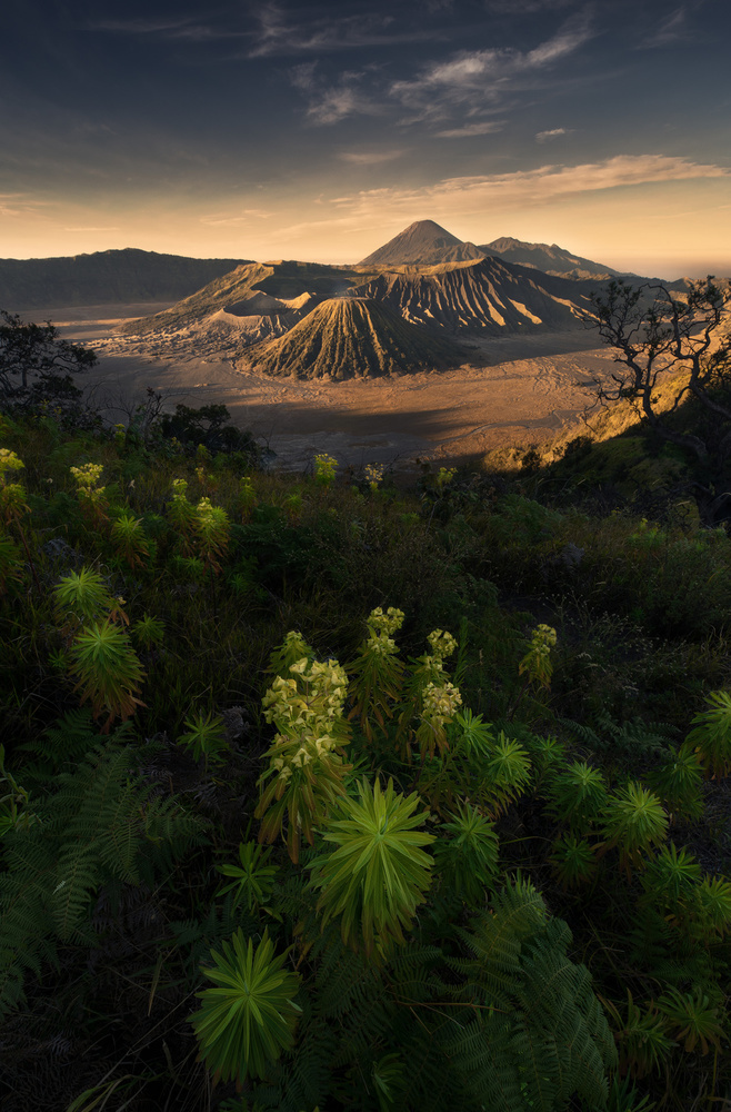 Bromo-Vulkan-Nationalpark von MiracleGuo