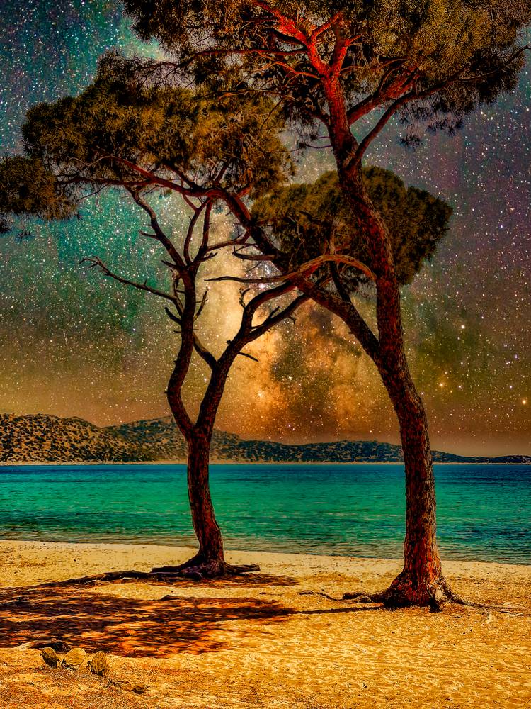 Pinien Bäume am Strand und Sternenhimmel in Griechenland von Miro May