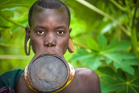 Porträt Frau mit Lippenteller aus dem Suri / Surma Stamm in Omo Valley, Äthiopien, Afrika 2016
