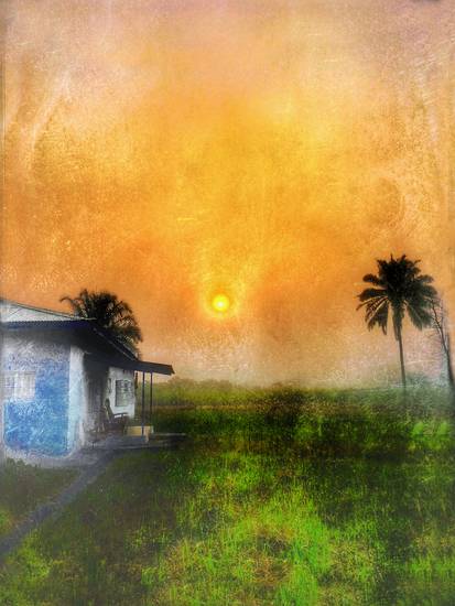 Sonnenaufgang unter Palmen, Haus in Afrika, Sierra Leone, Fotokunst, Retro, Vintage 2017