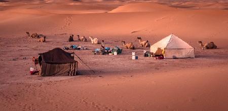 Nomadisches Berberleben