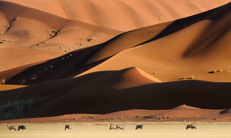 Namib Dunes von Muriel Vekemans