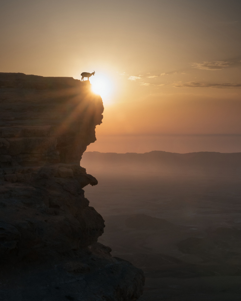 Sonnenaufgang in der Wüste von Nadav Jonas