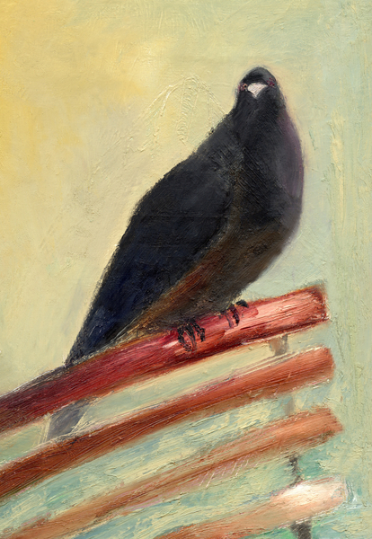 Kingly Court Pigeon von Nancy Moniz Charalambous