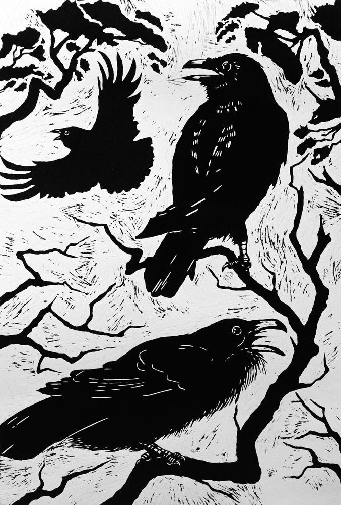 Ravens, 1998 (woodcut)  von Nat  Morley