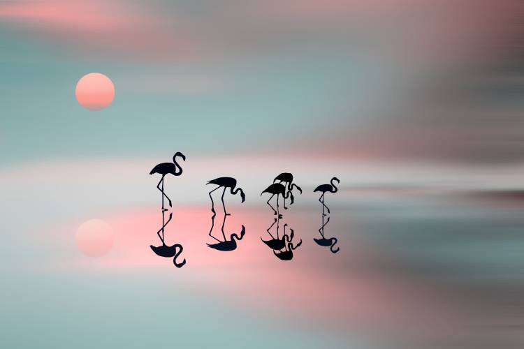 Family flamingos von Natalia Baras