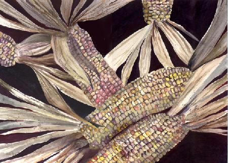 Corn 1999