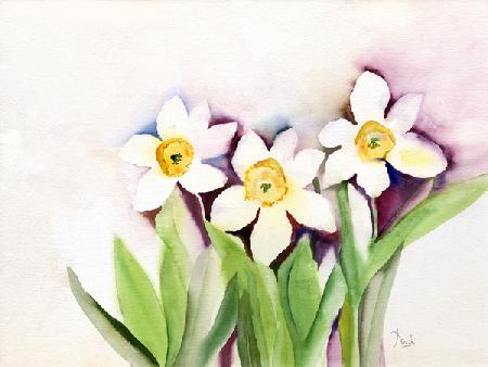 Three Daffodils 2007