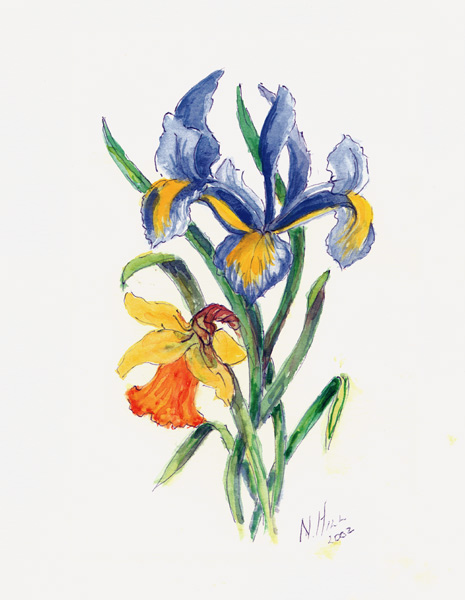 Blue Iris and Daffodil von Nell  Hill