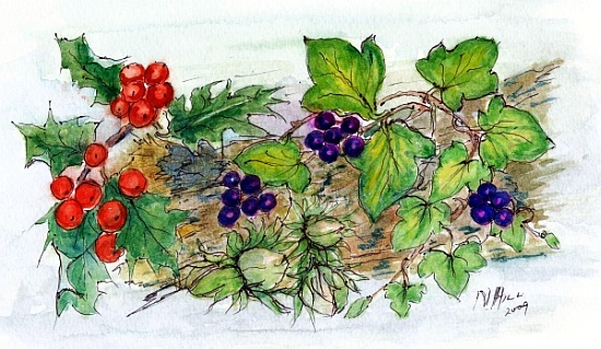 Log of Ivy, Holly and Hazelnuts von Nell  Hill